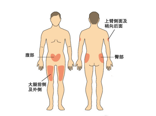 mp24986894_1438238672341_3.png